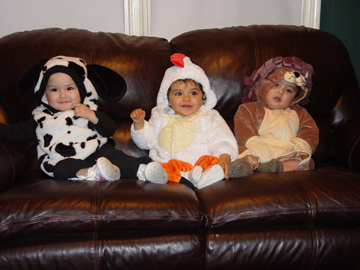 Halloween 2007 - L to R: Zoe (14 mos), Niki & Maya (10 mos)