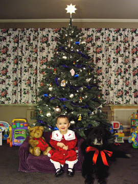Christmas 2006 - Cllick for more xmas photos